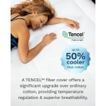 Viscosoft 4 Inci Topper Kasur Queen - Dibuat di AS - Serene Lux Kasur Dua Lapisan